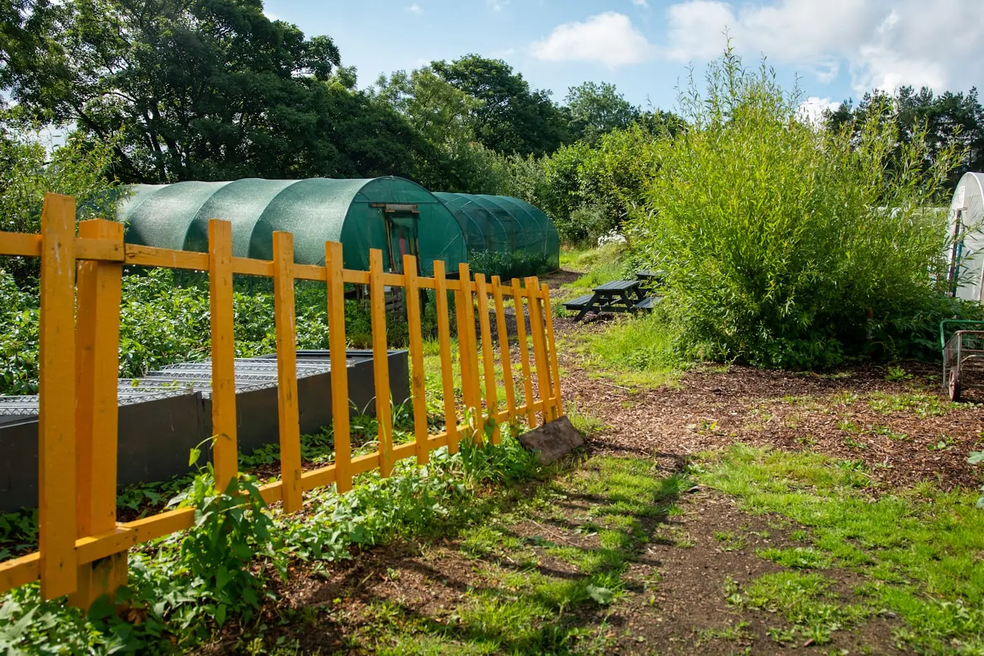 Row of greenhouses and cold frames with countryside beyond