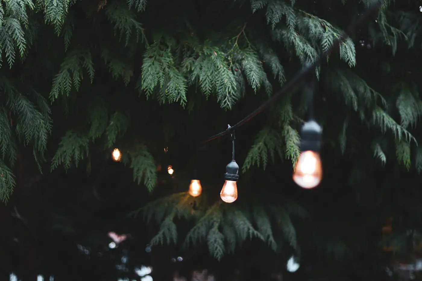 Festoon bulbs strung over a garden seating area