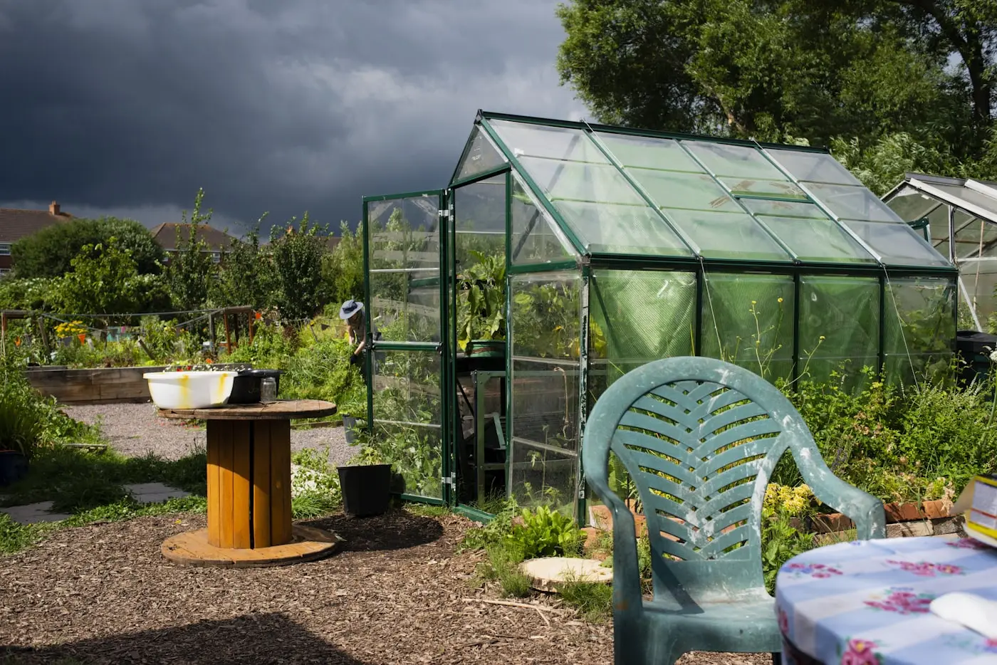 Small greenhouse beside planted vegetable beds