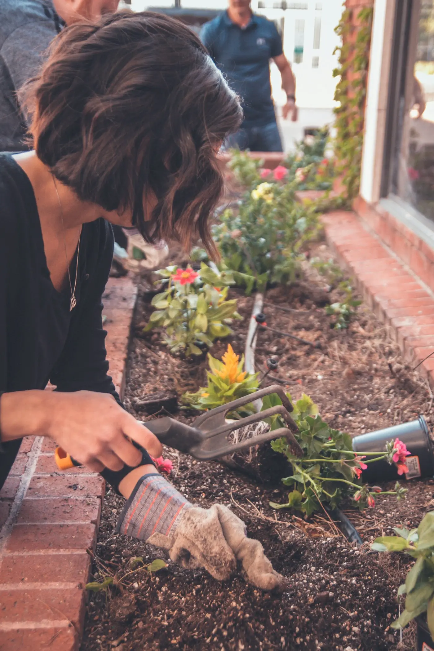 Hands weeding a bed with a trowel