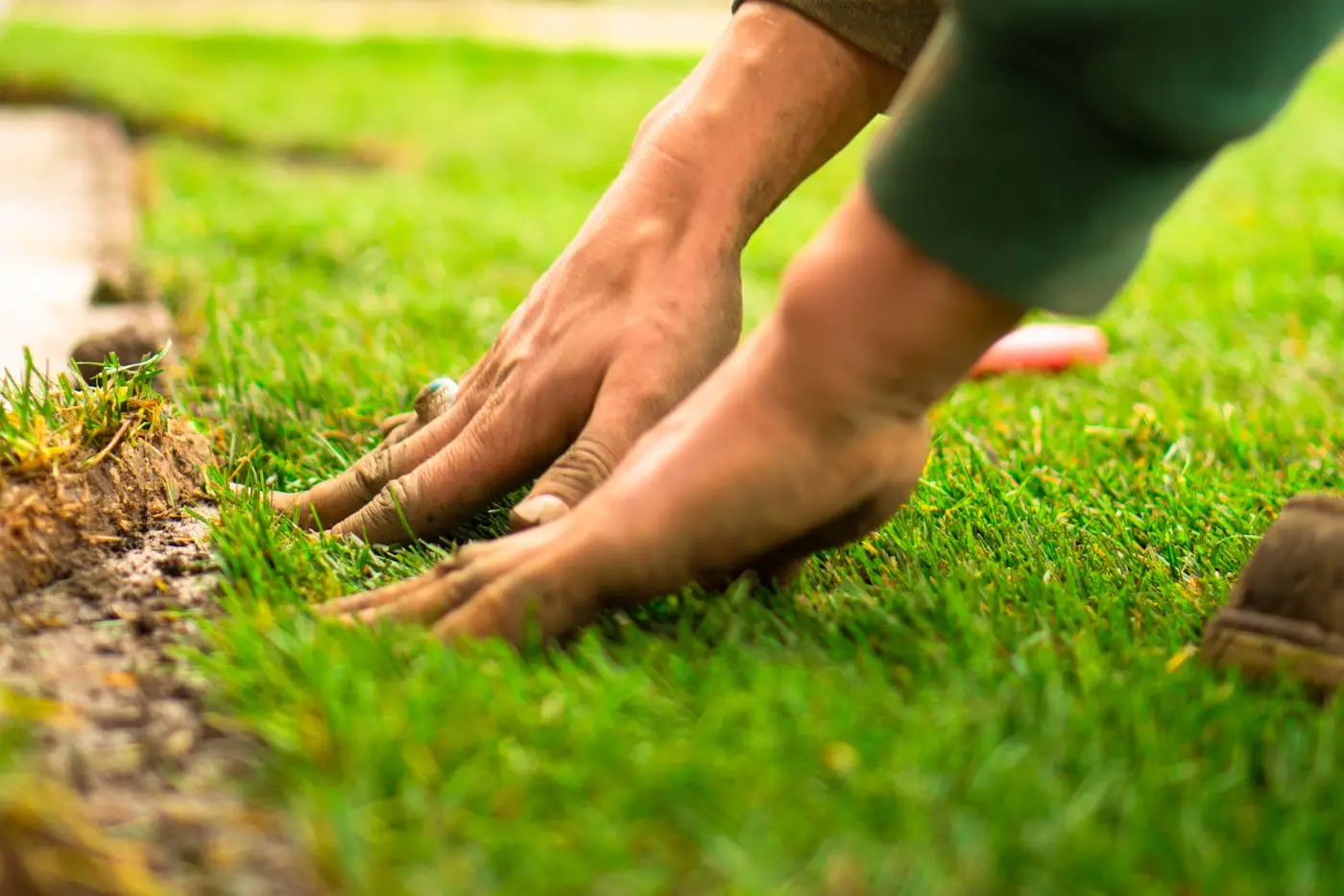Fresh turf being laid in a garden makeover