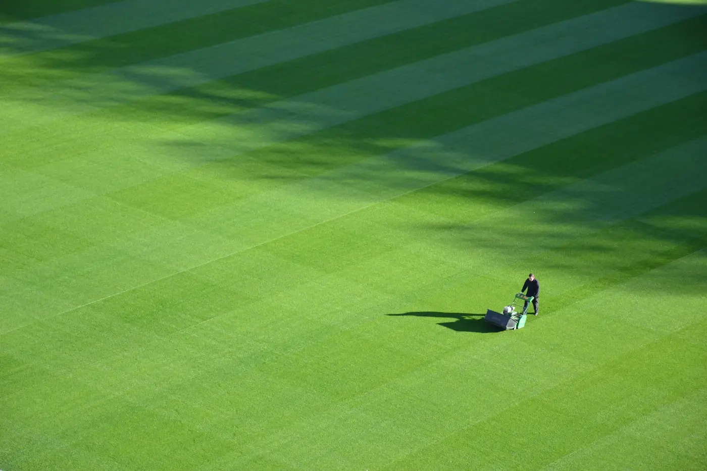 Lawn mower resting on a freshly striped lawn