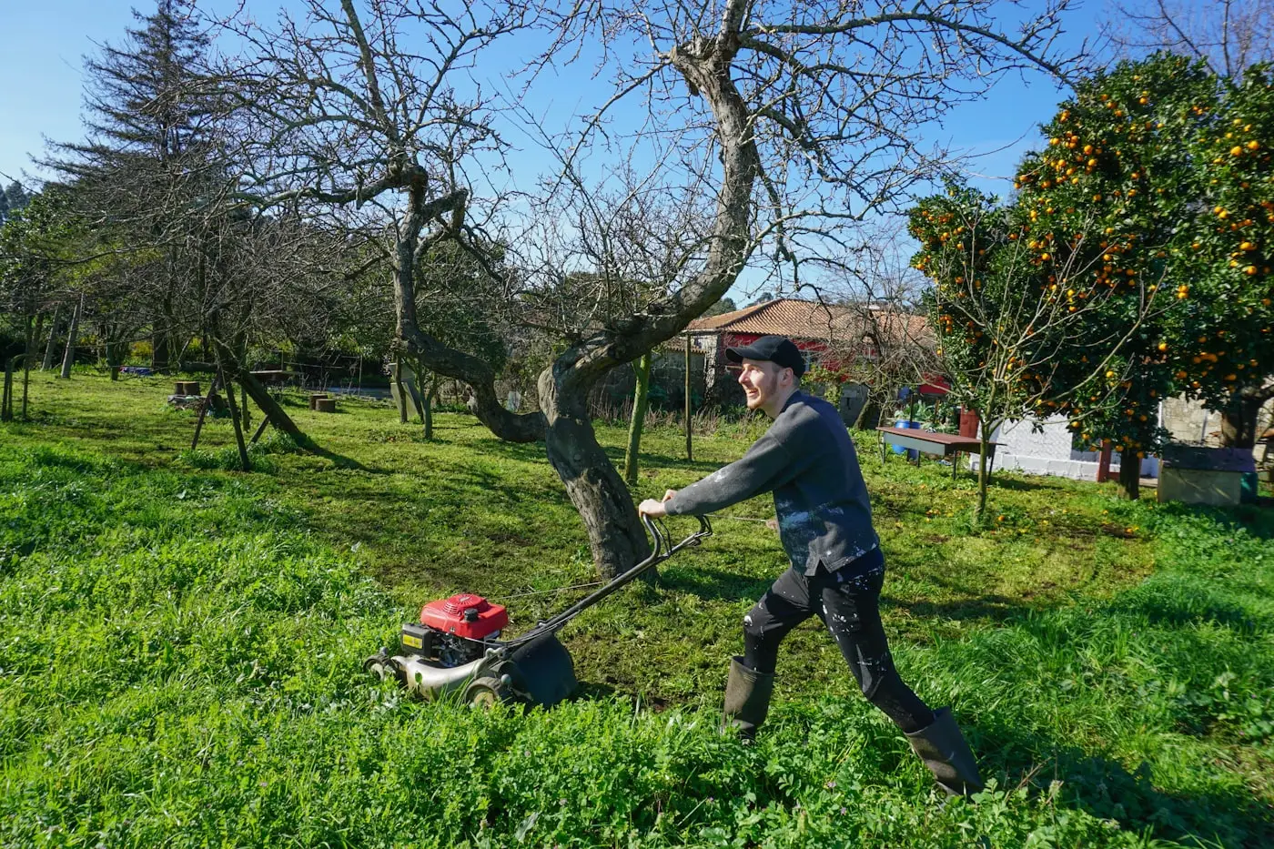 Gardener pushing a mower through an established garden