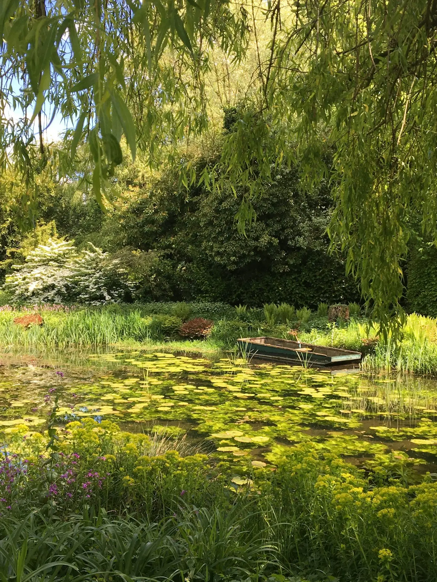Natural-style wildlife pond