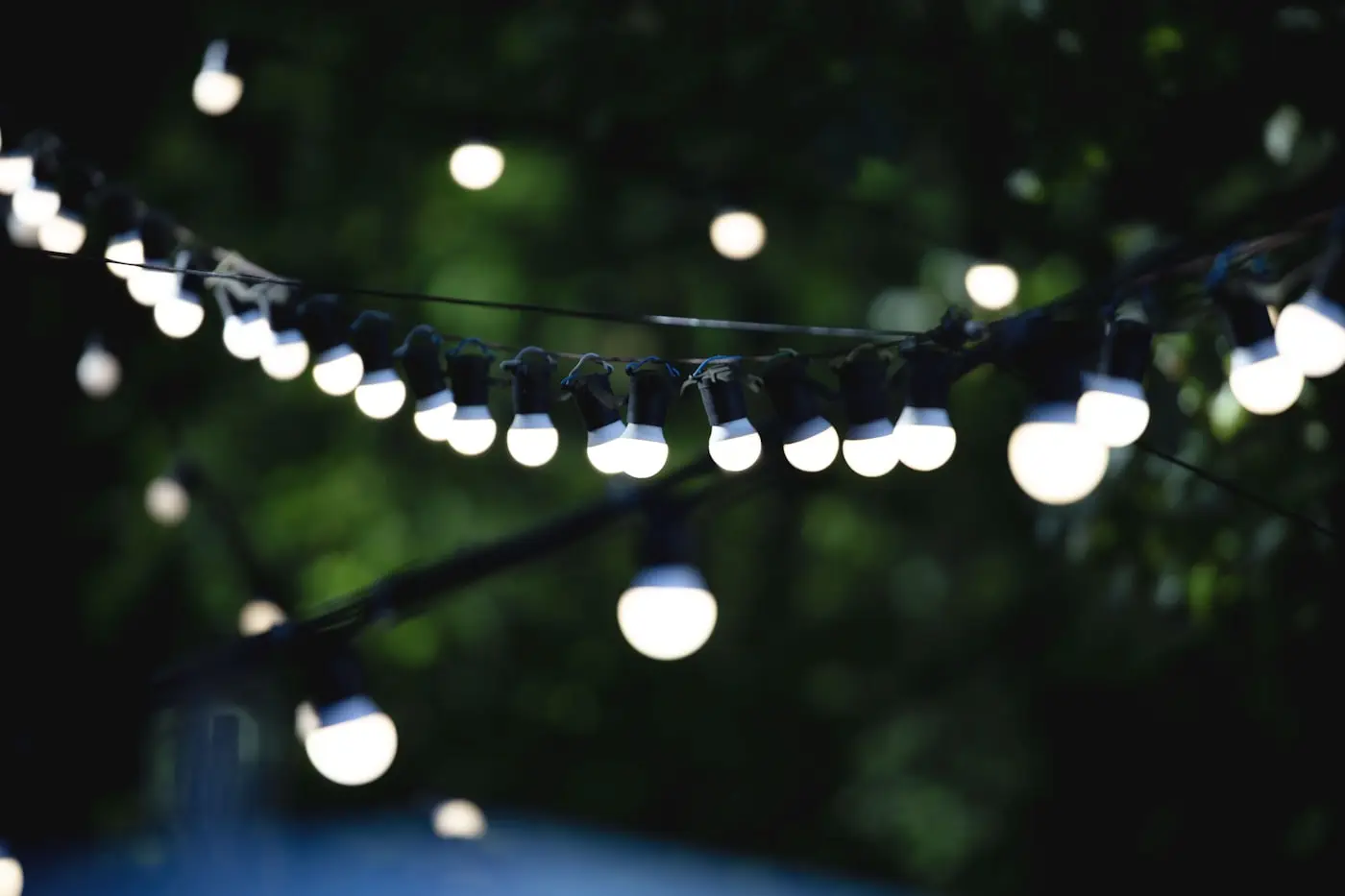 String lights glowing in an evening garden