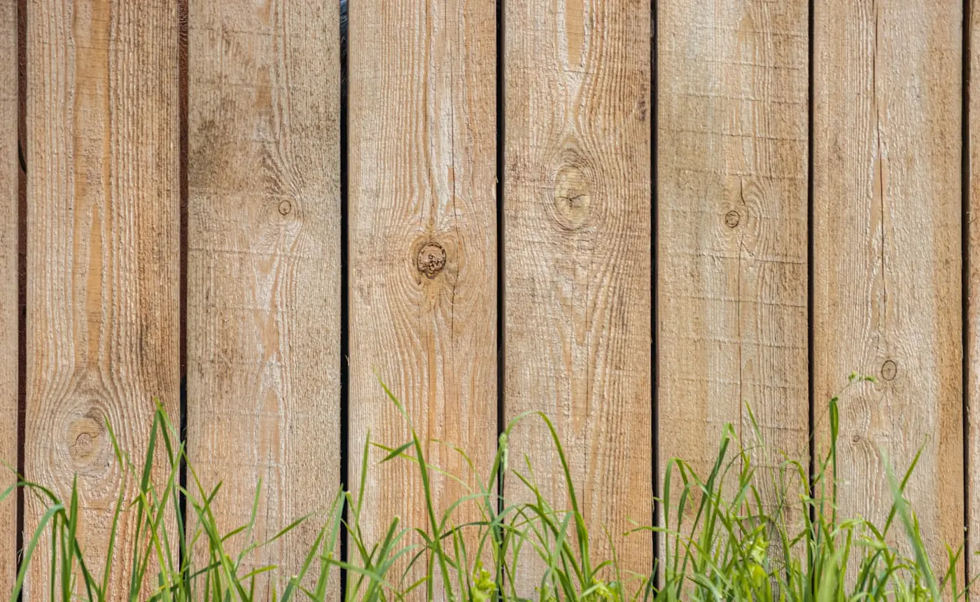 Close-grain timber fence boards