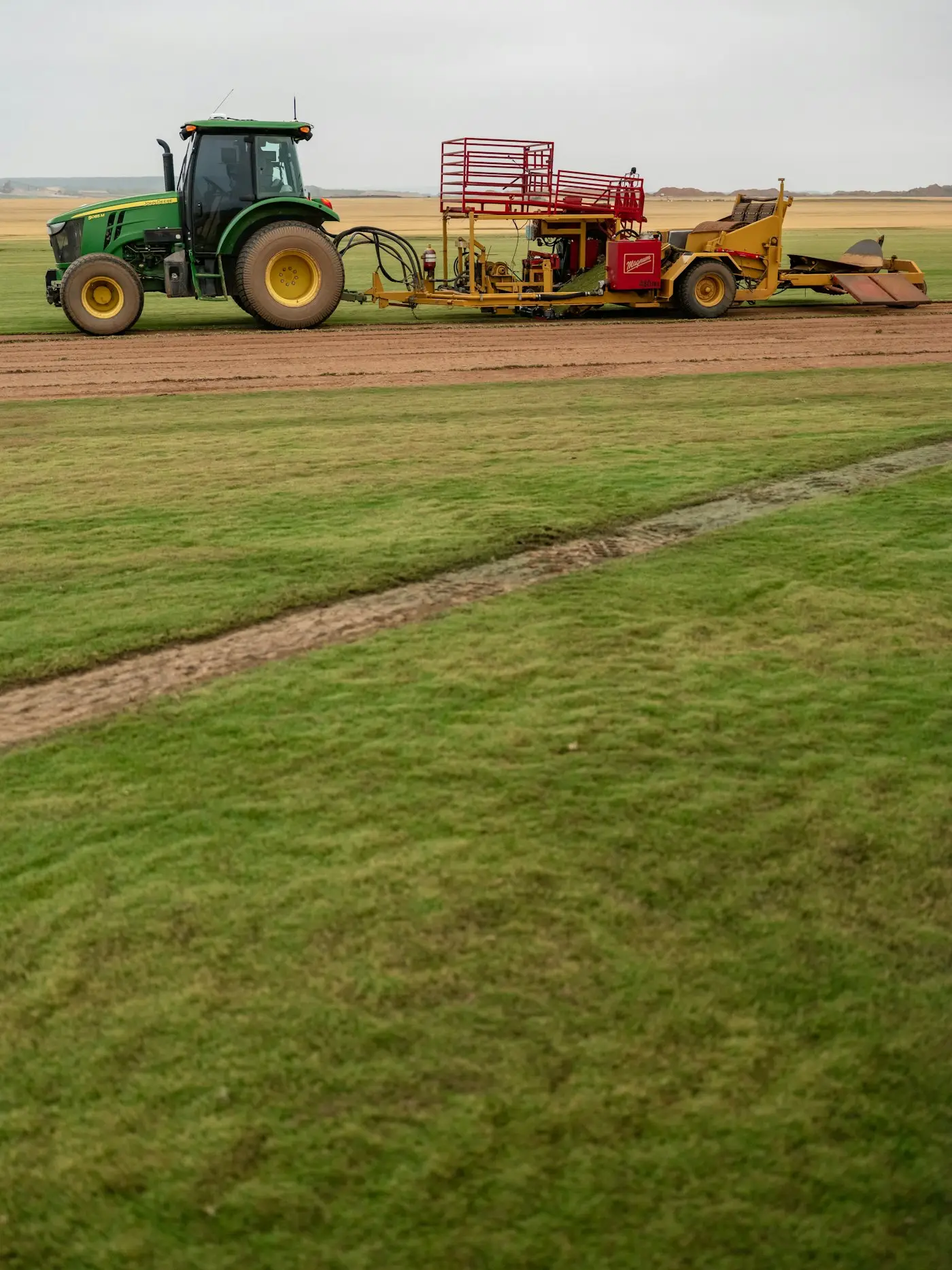 Rows of cut turf ready for lifting