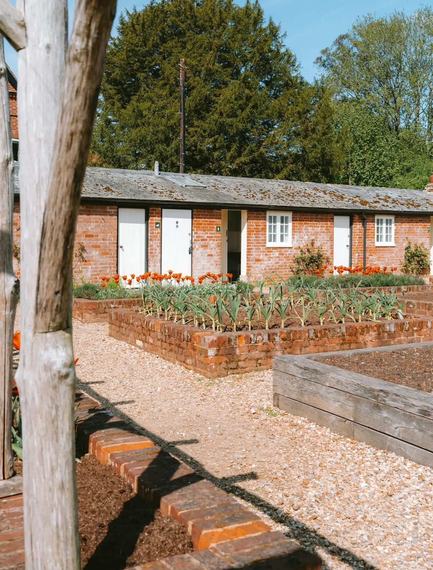 Walled kitchen garden with ordered beds